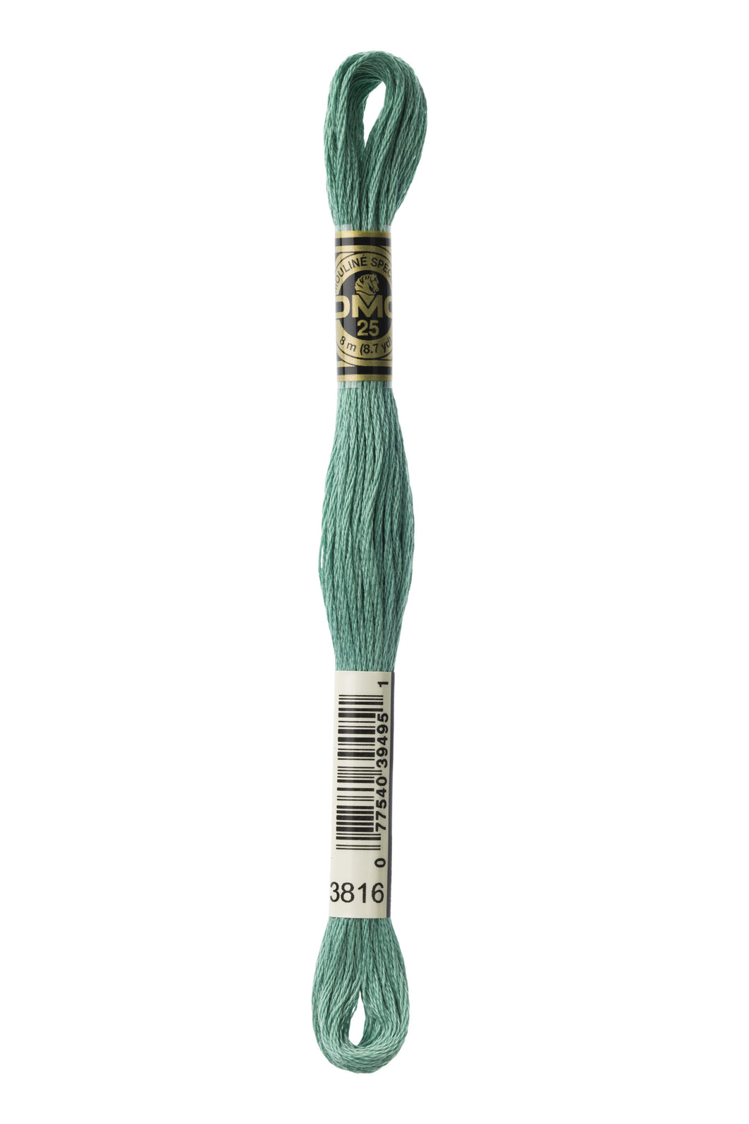 DMC 3816 Celadon Green 6-Strand Embroidery Floss