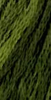 Green with Envy 6-Strand Embroidery Floss from The Gentle Art