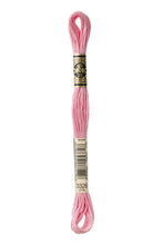 Load image into Gallery viewer, DMC 3326 Light Rose 6-Strand Embroidery Floss

