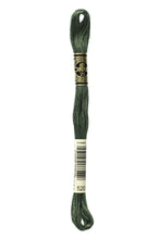 Load image into Gallery viewer, DMC 520 Dark Fern Green 6 Strand Embroidery Floss
