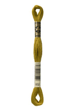 Load image into Gallery viewer, DMC 832 Golden Olive 6 Strand Embroidery Floss
