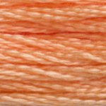 Load image into Gallery viewer, DMC 3825 Pale Pumpkin 6-Strand Embroidery Floss
