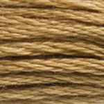 Load image into Gallery viewer, DMC 3828 Hazlenut Brown 6-Strand Embroidery Floss
