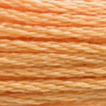 Load image into Gallery viewer, DMC 3854 Medium Autumn Gold 6-Strand Embroidery Floss
