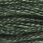 Load image into Gallery viewer, DMC 520 Dark Fern Green 6 Strand Embroidery Floss
