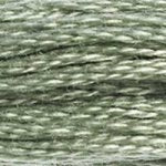 Load image into Gallery viewer, DMC 522 Fern Green 6-Strand Embroidery Floss
