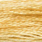 Load image into Gallery viewer, DMC 676 Light Old Gold 6-Strand Embroidery Floss
