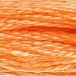 Load image into Gallery viewer, DMC 722 Light Orange Spice 6-Strand Embroidery Floss
