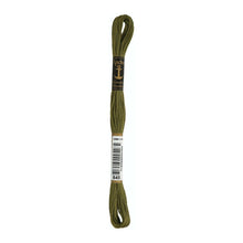 Load image into Gallery viewer, Anchor 845 Fern Green Medium Dark 6-Strand Embroidery Floss
