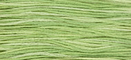 Wasabi 6-Strand Embroidery Floss from Weeks Dye Works
