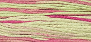 Coleus 6-Strand Embroidery Floss from Weeks Dye Works