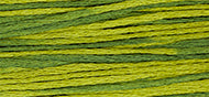 Moss 6-Strand Embroidery Floss from Weeks Dye Works